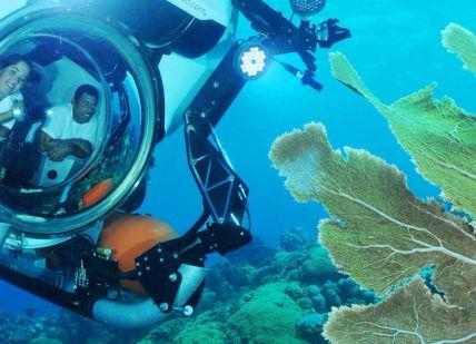 An image of a scuba diver in the ocean, Sea Cruise Tour. Aquafari