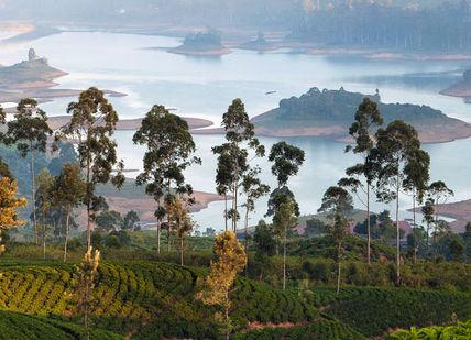 An image of a lake surrounded by trees, Sri Lankan Getaway. Ceylon Tea Trails