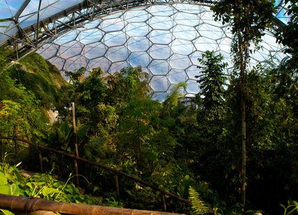 An image of a forest with a large glass dome, 90-minute private guided tour (Rainforest or Mediterranean). Eden Project