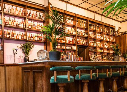 An image of a bar with a plant in the corner, Ultra-Premium Whisky Tasting. Merchant House