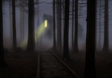 An image of a light shining through the trees, Murder Mystery Experience. Parker Lee Events