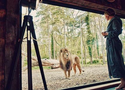 An image of a woman standing in front of a window, Two-Night Stay in Unique Animal Accomodation. Port Lympne Hotel & Reserve