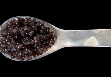 An image of a spoon with a spoon full of black beans, Luxury Wine, Champagne and Caviar Tasting. Wine Cottage