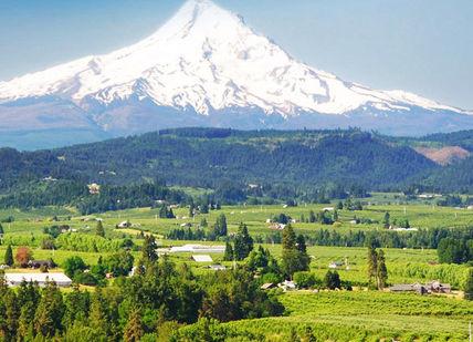 An image of a mountain with a snow capped peak, Two Night Wine Getaway in Oregon. Getaway-Pseudo-Supplier