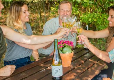 An image of people raising a glass of white wine