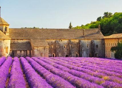 An image of lavender fields in provence, Two Night Wine Getaway for Two in Southern France . Winerist Ltd
