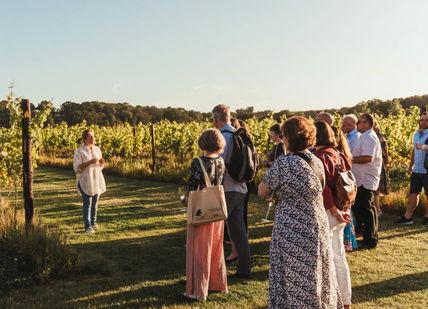 An image of a group of people standing in a field, Wine Experience. Balfour Winery
