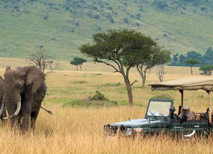 An image of a safari with a jeep and an elephant, Luxury Maasai Mara Kenyan Safari. Campi ya Kanzi