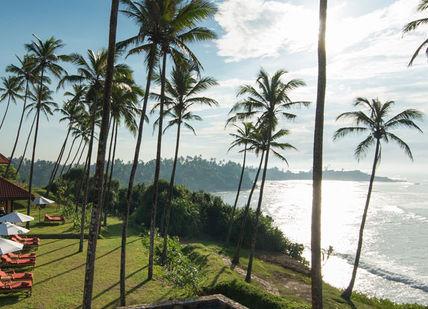 An image of a beach resort with palm trees, Cape Weligama Excursion. Cape Weligama