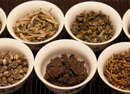 An image of a variety of teas in small white bowls, Gong Fu Cha Tea Tasting. The Chinese Tea Company