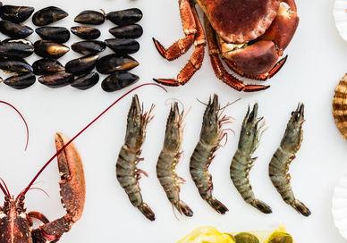 An image of various types of seafood, Fantastic Fish. Cookery School at Little Portland Street