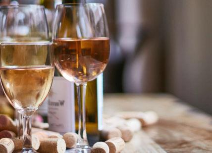 A WINE DISCOVERY: Wine Tasting Masterclass with Three Course Meal at Davy's