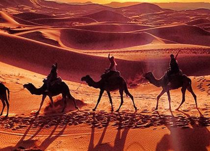 An image of a group of people riding camels in the desert, Moroccan Luxury Desert Camp Stay With Helicopter Transfer And Camel Trek. Desert Luxury Camp Morocco