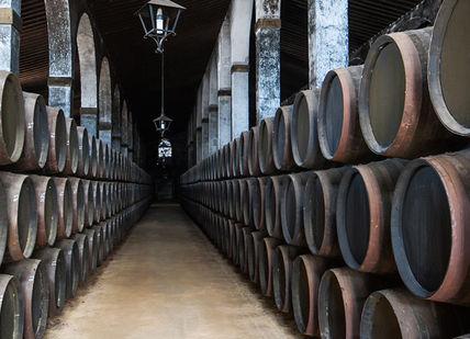 An image of a wine cellar with barrels, Behind-the-scenes sherry tasting at Lustau.