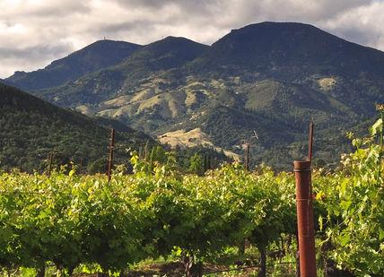 An image of a vineyard with mountains in the background, Napa Valley Two Night Escape. Getaway-Pseudo-Supplier