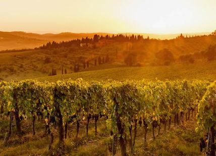 Wine Country Luxury: Napa Valley Wine And Gastronomy Getaway