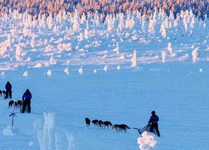 An image of a dog sler pulling a sler, Nordic Adventure Sledding, Skiing And Hunting The Northern Lights. Getaway-Pseudo-Supplier