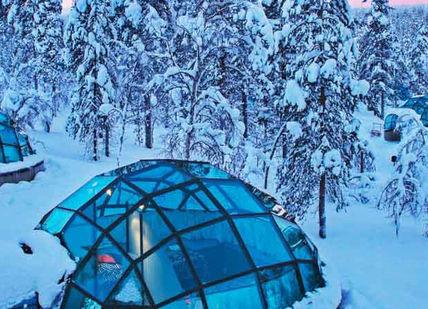 An image of a snowy forest with tents, Nordic Adventure Sledding, Skiing And Hunting The Northern Lights. Getaway-Pseudo-Supplier