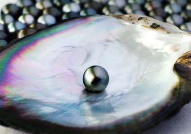 An image of a pearl and a pearl necklace, Rare Tahitian Pearl Diving in Bora Bora. Getaway-Pseudo-Supplier