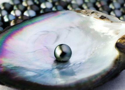 An image of a pearl and a pearl necklace, Rare Tahitian Pearl Diving in Bora Bora. Getaway-Pseudo-Supplier