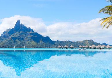 An image of a pool with palm trees and a mountain in the background, Rare Tahitian Pearl Diving in Bora Bora.