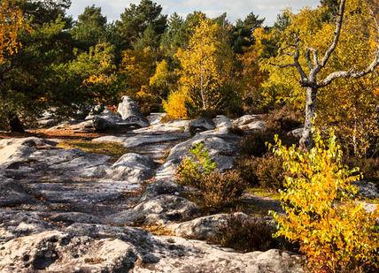An image of a rocky area with trees and rocks, Two-nights luxury accommodation with breakfast included.