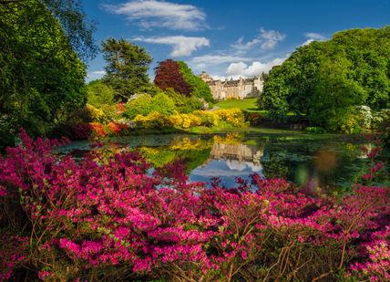 An image of a pond with flowers in the fore, Stargazing and Two-Night Stay. Glenapp Castle