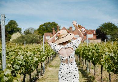 An image of a woman in a polka dot dress, Two Tickets to a Public Tour and Sparkling Wine Tasting. Hambledon Wineries Ltd