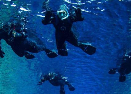 An image of a group of divers swimming in the ocean, Arctic Adventure Hotel Holt Transfer. Hotel Holt Iceland