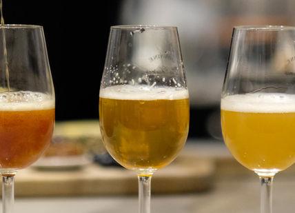 An image of a group of glasses of wine, Home Beer & Cheese Matching Experience. James Kellow