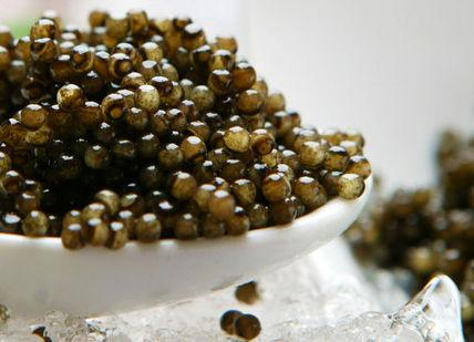 The Finer Things: Private Caviar Tasting