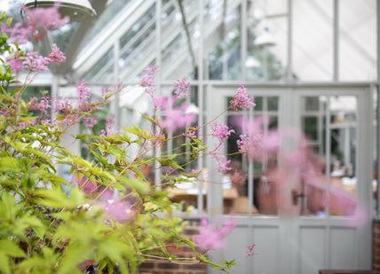 An image of a greenhouse with flowers in the fore, Full day gardening course. Le Manoir aux Quat'Saisons, A Belmond Hotel