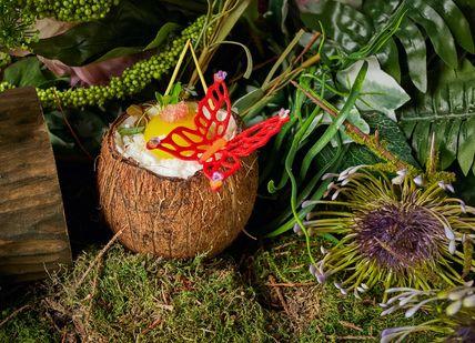 An image of a flower in a coconut, Theatrical Gastronomic Show With 10-Course Tasting Menu. The Monarch Theatre