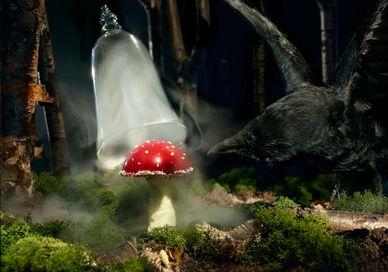 An image of a bird and a mushroom, Theatrical Gastronomic Show With 10-Course Tasting Menu. The Monarch Theatre