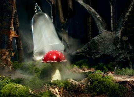 An image of a bird and a mushroom, Theatrical Gastronomic Show With 10-Course Tasting Menu. The Monarch Theatre