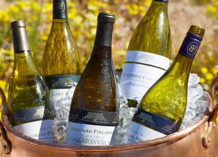 An image of a bucket full of wine, South African Wine Tasting. Montague on the Gardens