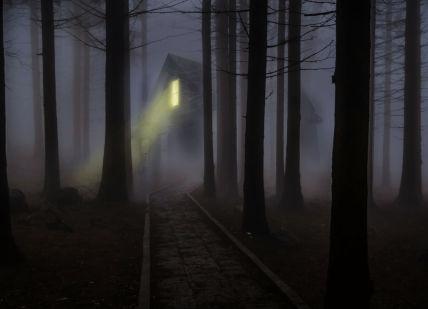An image of a light shining through the trees, Murder Mystery Experience. Parker Lee Events