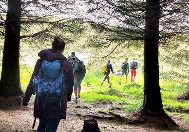 An image of people walking through the woods, Private Scottish Highlands Nature Tour. Rishi's Edinburgh Tours