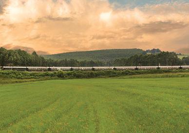 An image of a train going through a field, Durban to Victoria Falls Trip. Rovos Rail