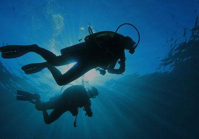 An image of a person scubaing in the ocean, Dive For Your Own Diamond In South Africa. Safari Scapes