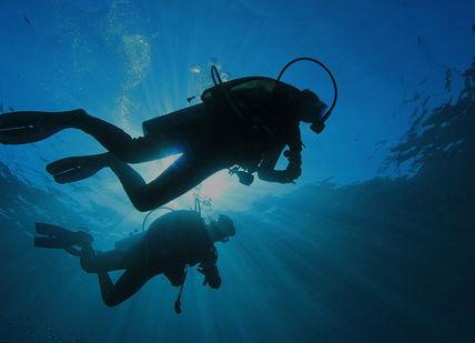 An image of a person scubaing in the ocean, Dive For Your Own Diamond In South Africa. Safari Scapes