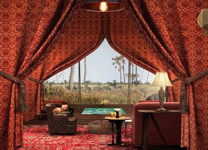 An image of a room with red curtains and a red carpet, Under The African Sky Safari with Meerkat Interaction. Safari Scapes