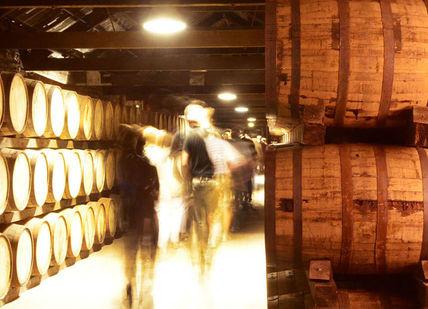An image of a man walking through a wine cellar, Two-Night Irish Whiskey Break. Secret Ireland Escapes