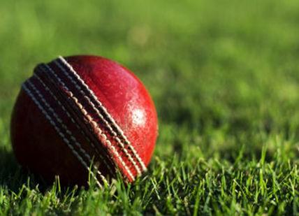 An image of a cricket ball on the grass, Premium tickets to an ECB one day or test match. Silver Fox Media