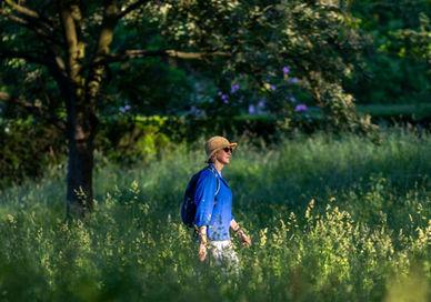 An image of a man walking through tall grass, Urban Hike From Chelsea to Highgate. Sophie Campbell - Insider