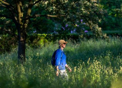 An image of a man walking through tall grass, Urban Hike From Chelsea to Highgate. Sophie Campbell - Insider