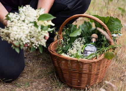 An image of a person kneeling down with a basket of flowers, Foraging Course And Lunch. Totally Wild Food Ltd