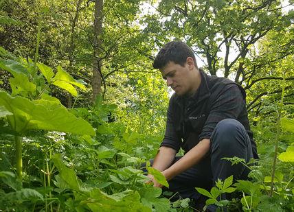 An image of a man in the woods, Foraging Course And Lunch. Totally Wild Food Ltd
