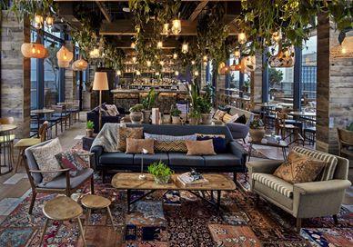 An image of a living room with a large tree in the middle, Signature cocktails with a selection of canapes at the Nest. Treehouse Hotel London
