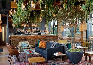 An image of a living room with plants hanging from the ceiling, Signature cocktails with a selection of canapes at the Nest. Treehouse Hotel London